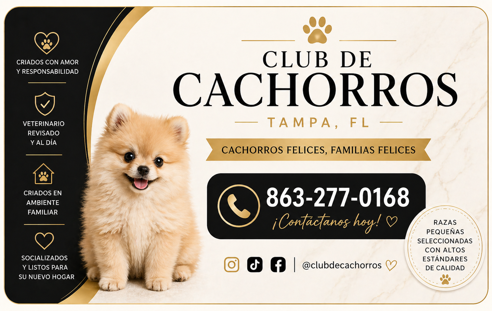 Club de Cachorros